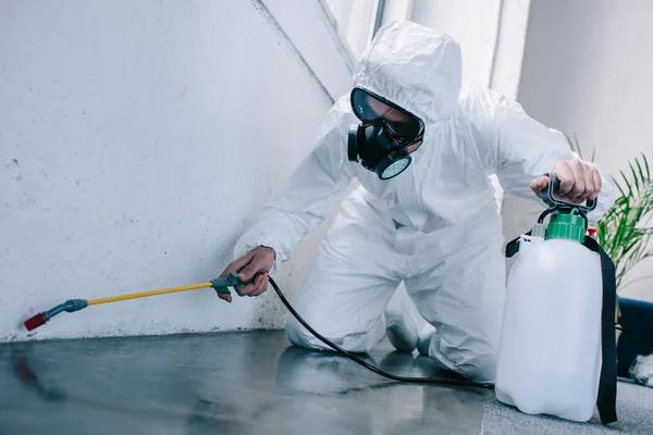 Why Hidden Dampness in Walls Attracts Pests (And How to Stop It)