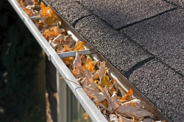 How Weather Conditions Affect Roof Maintenance and Inspection Needs
